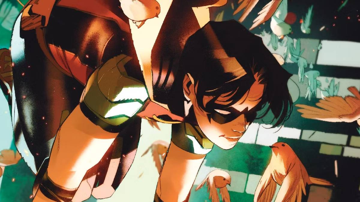 Robin Reminds Everyone of His TRUE Purpose in DC's Universe
