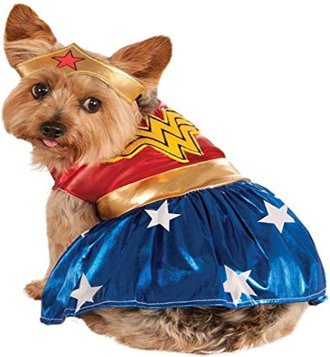 The 10 Best Halloween Costumes for Dogs (Updated 2022)