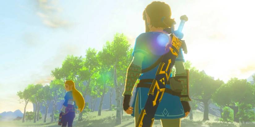 Why Link Has Always Been A Hylian, According To Zelda Canon