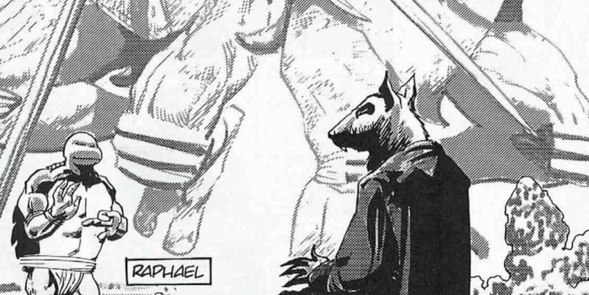TMNT: 10 Comics That Redditors Love