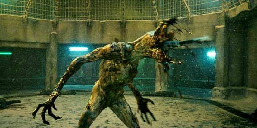 Why The Demogorgons Are Really Missing In Stranger Things Series Why The Demogorgons Are Really Missing In Stranger Things Series