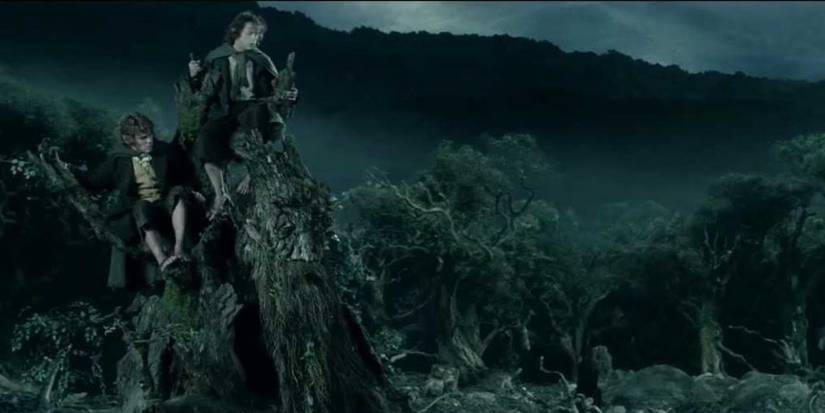 Why Treebeard Has Never Heard Of Hobbits In LOTR: The Two Towers