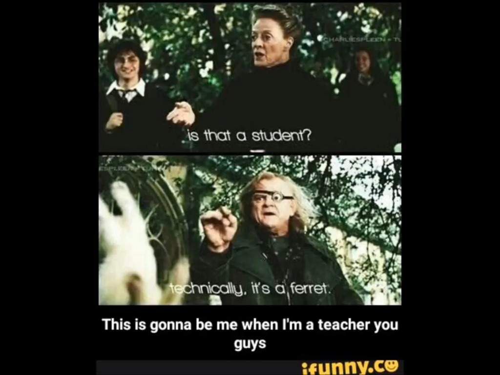 Meme featuring Mad Eye Moody talking to McGonagall