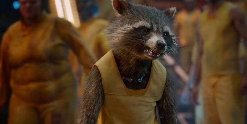 Guardians of The Galaxy 3 Will Reveal Rocket's Origin Story, Says Gunn