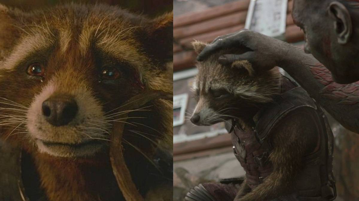 10 Quotes That Prove Rocket Raccoon Is The Saddest Guardian Of The Galaxy