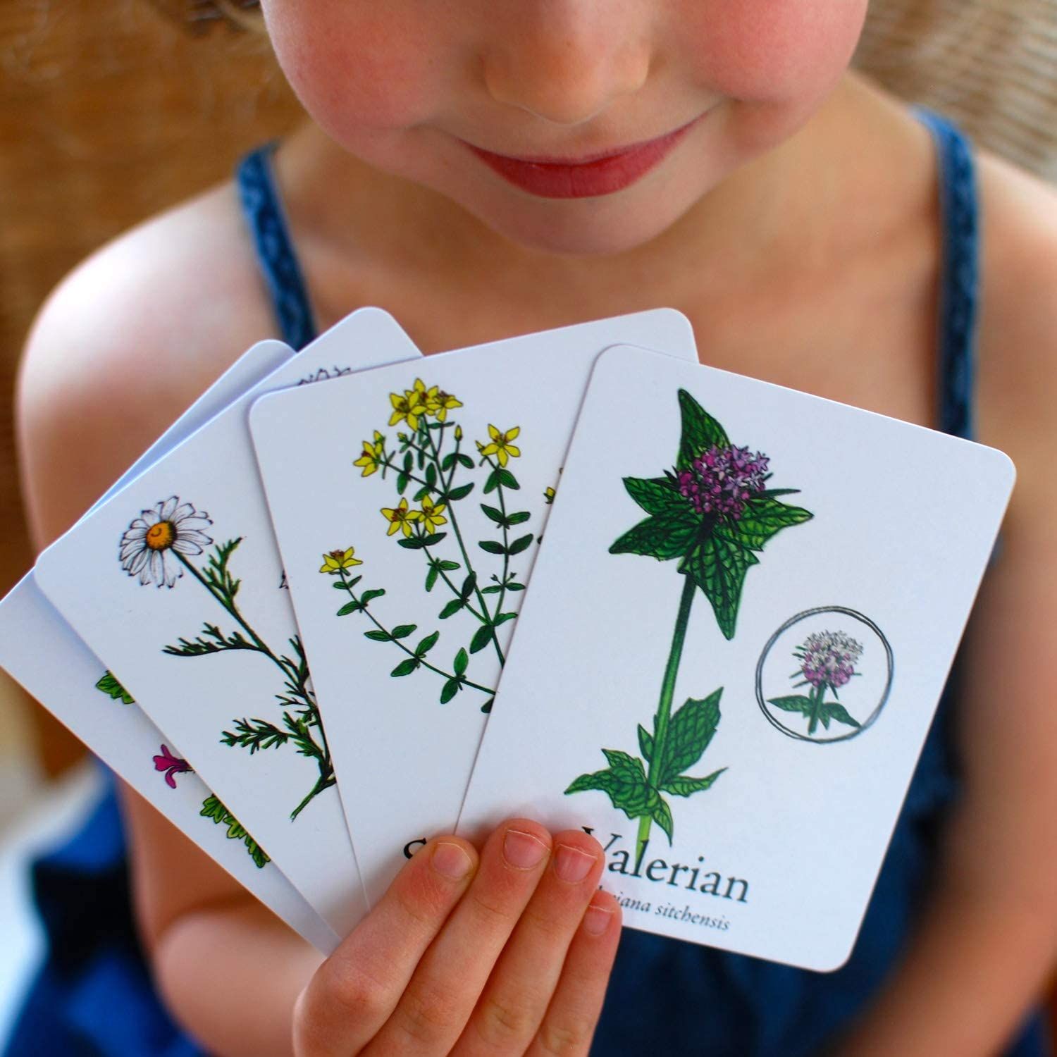 Wildcraft Herbal Adventure Game is one of the most beautiful board games for kids