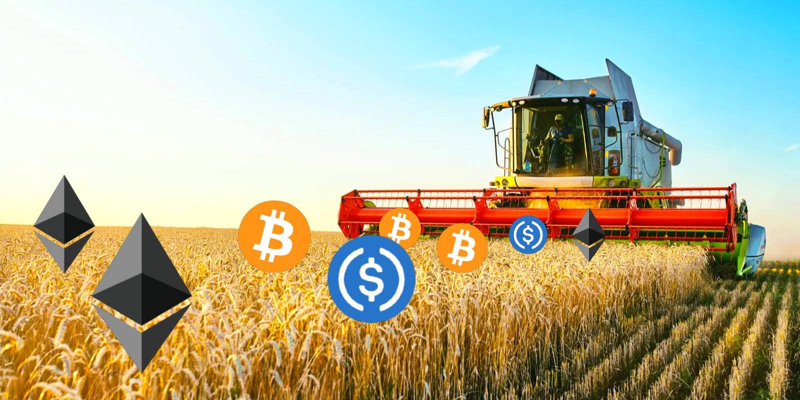 What Is DeFi Yield Farming, And Is It Worth It?