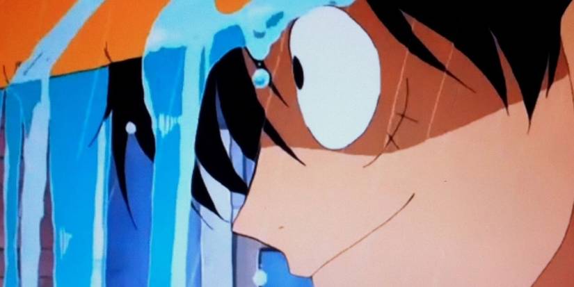 One Piece: 10 Plot Holes That Bothered Redditors The Most