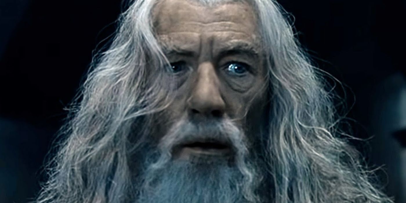 Gandalf in Lord of the Rings. 