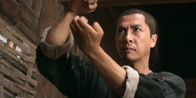 20 Best Donnie Yen Movies, Ranked