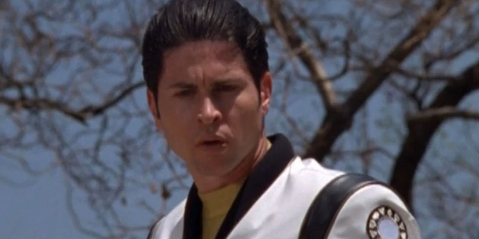 All 15 Power Rangers Who Died In Canon
