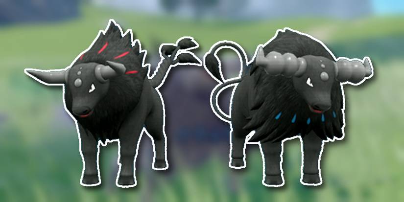 Blaze Breed And Aqua Breed Paldean Tauros in Pokémon Scarlet and Violet