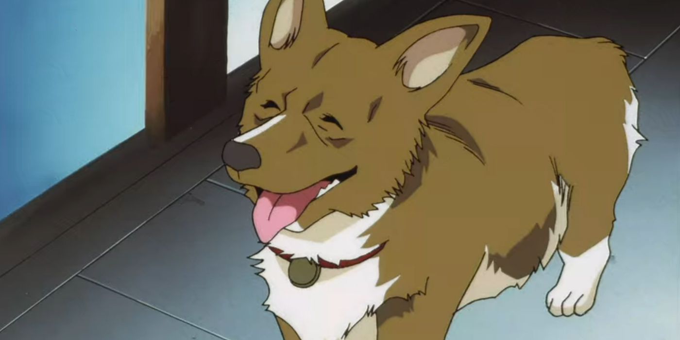 Cowboy Bebop's Original Title Would Have Confirmed Spike's Fate, But That's Not Why It Would Have Been A Mistake