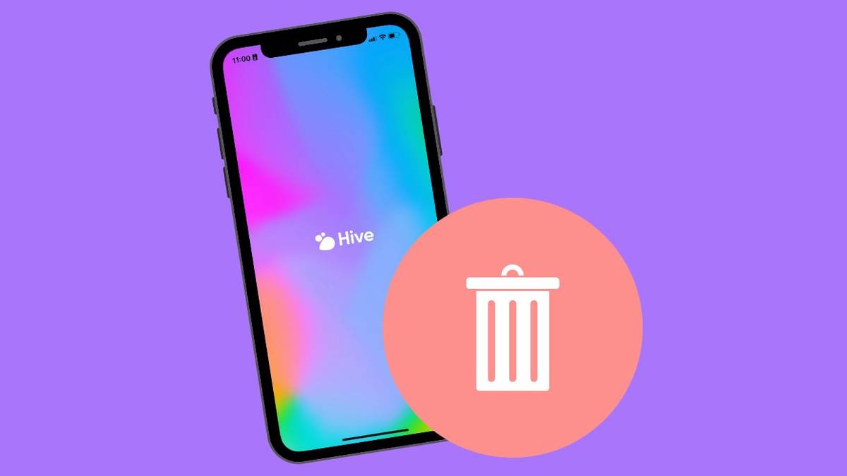 Hive Account How To Delete Your Hive Social Account