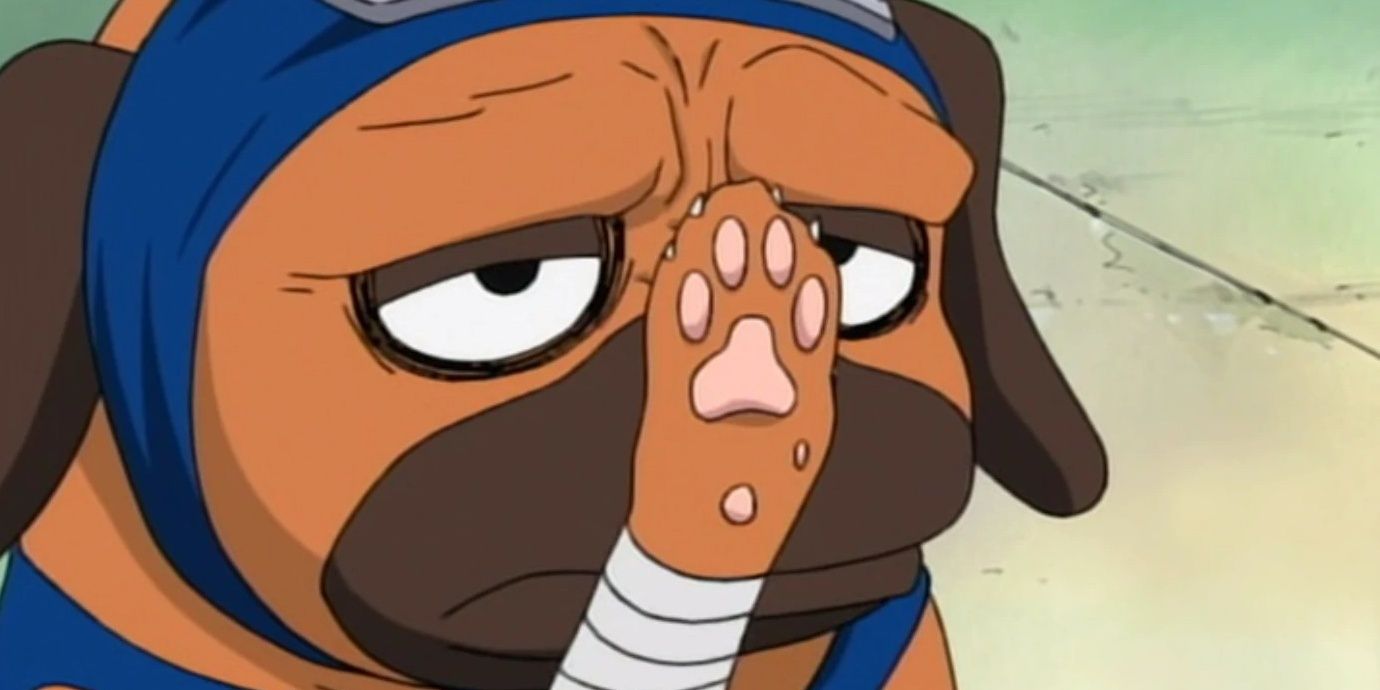 Pakkun in Naruto