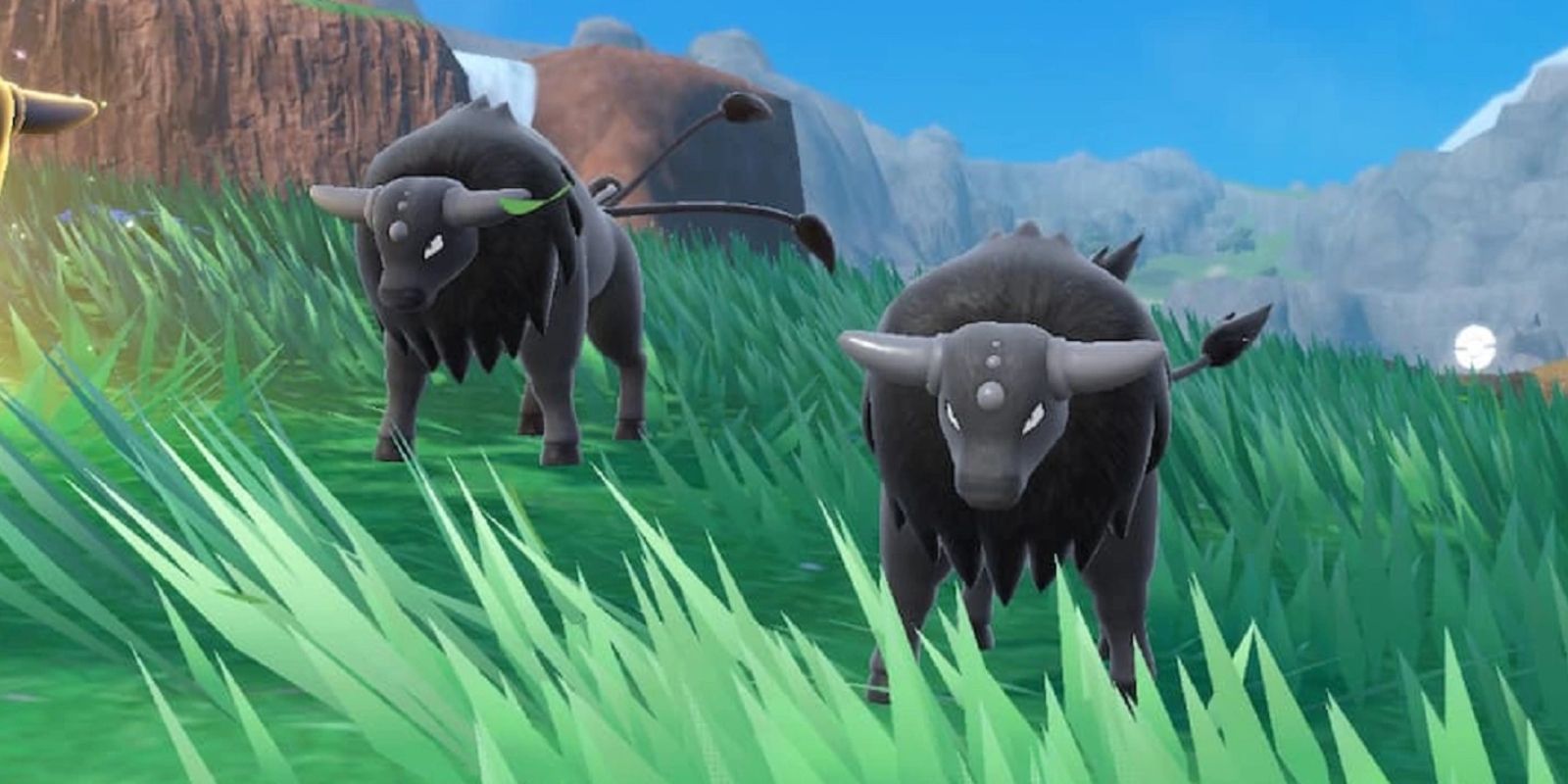 Pokémon Indigo Disk's Map Size Compared To Teal Mask DLC & Paldea Region