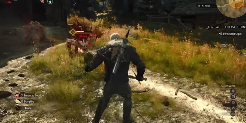 The Witcher 3: Wild Hunt — 10 Tips For Playing The Death March ...