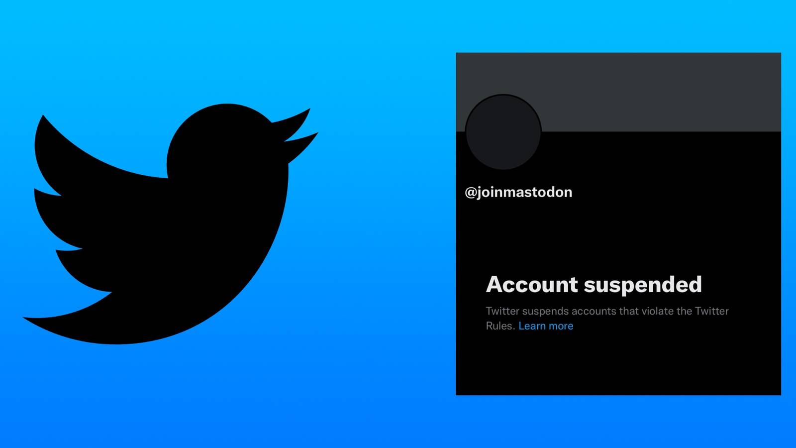 Twitter Officially Bans Promotion Of Other Social Media Sites