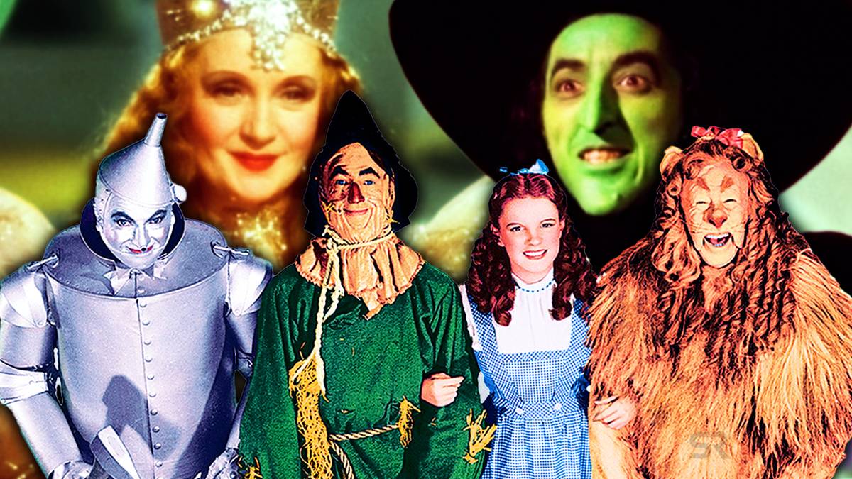 Shaffof pantiesdagi mushukning fotosurati