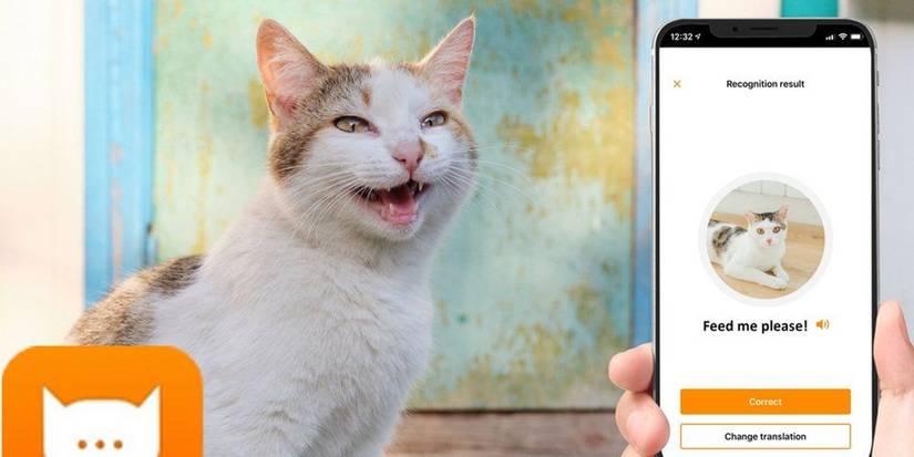 10 Apps Designed To Help Cat Owners