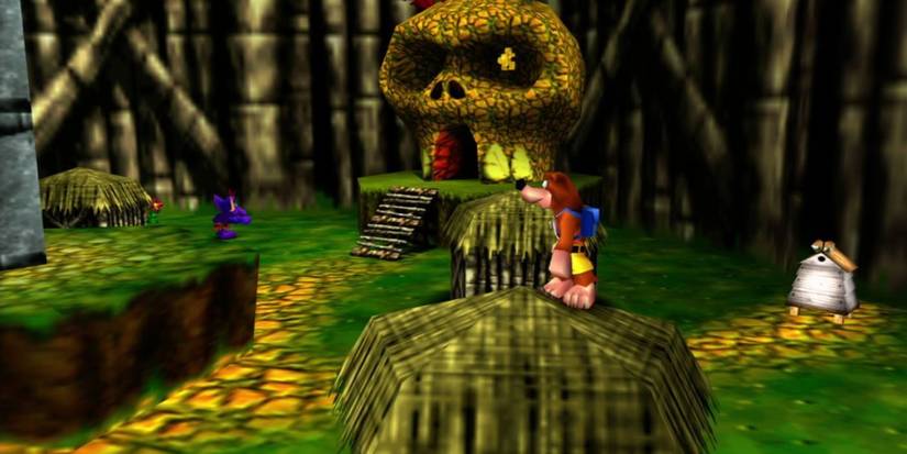 Banjo standing on a low texture rock in Banjo and Kazooie