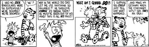 Calvin And Hobbes: Hobbes' 10 Best Pieces Of Advice