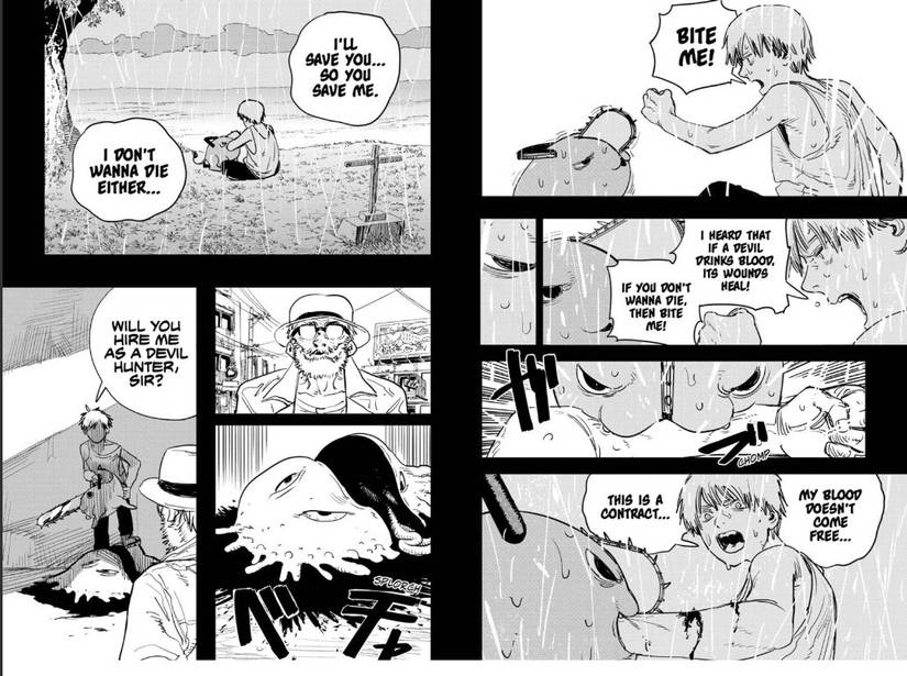 Denji's True Chainsaw Man Love Should Have Been Power, Not Makima