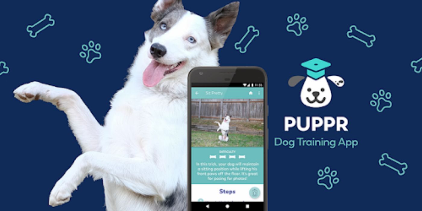 5 Furrific Mobile Games and Apps for Dogs