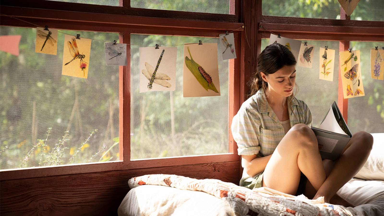 Where The Crawdads Sing's Rotten Tomatoes Critics & Audience Score Divide Explained