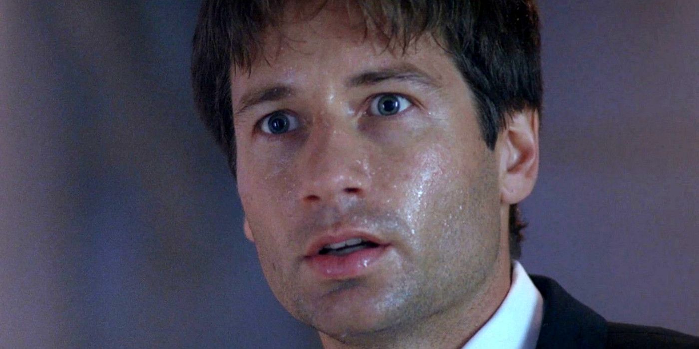 X-Files Star David Duchovny Admits He Never Cared Much About