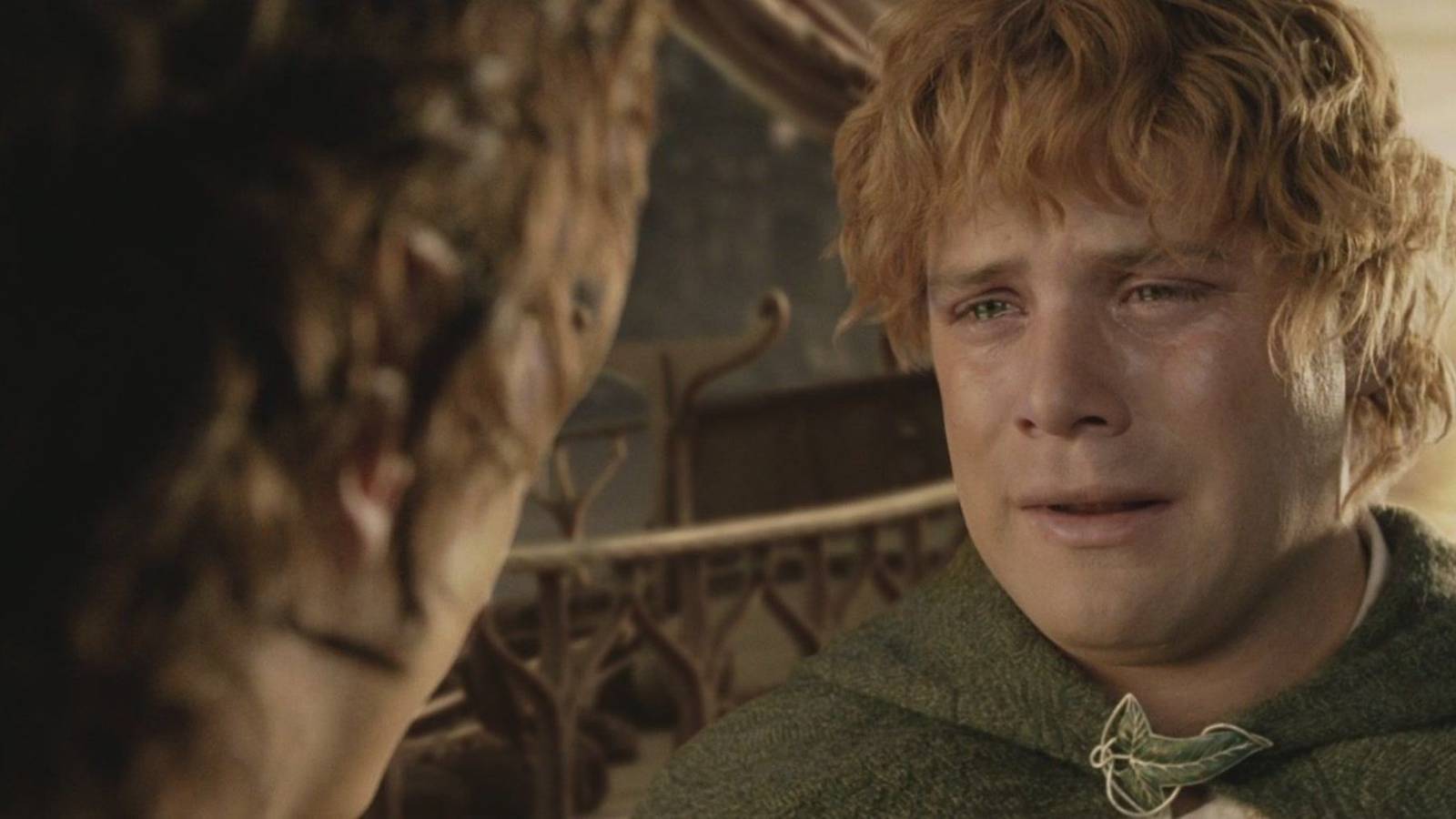 Frodo Backwards I Wish The Lord Of The Rings Movies Hadn't Cut What Happened To Bag End ...