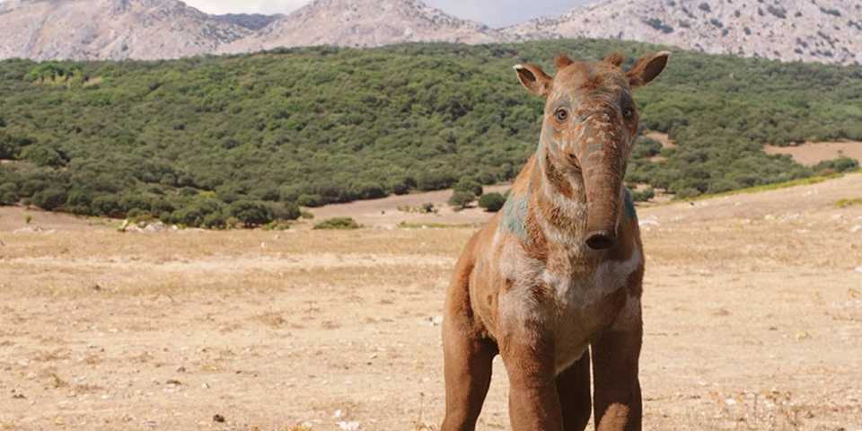 One of the Mulefa standing in their world in His Dark Materials