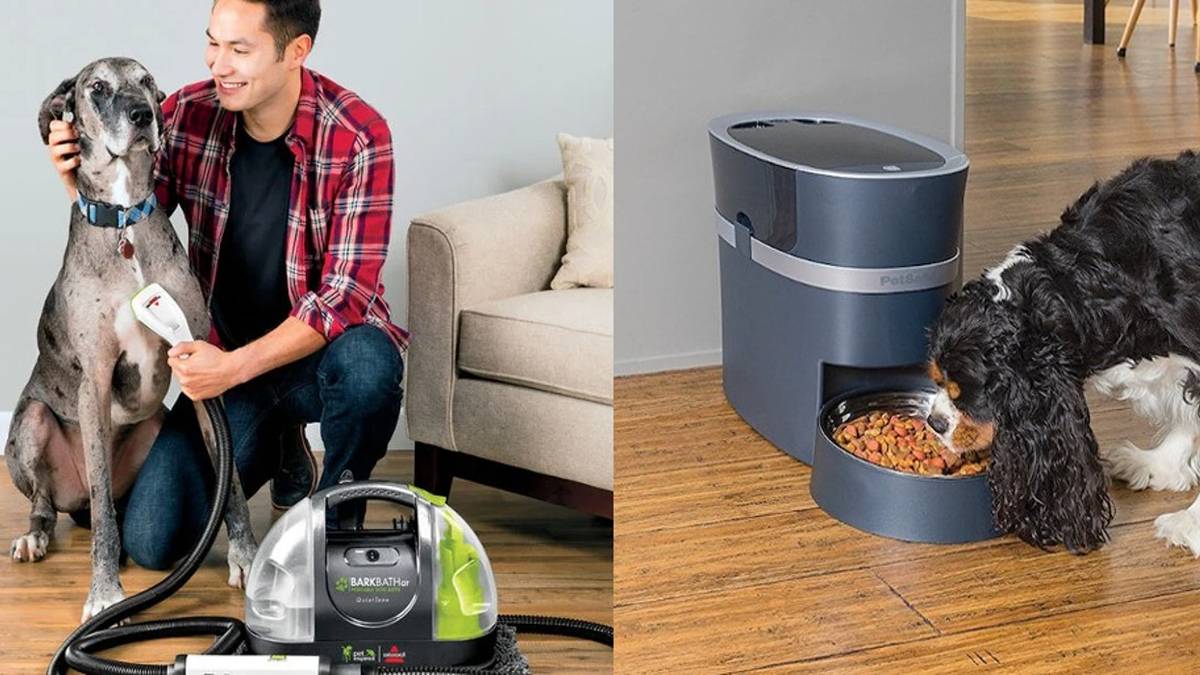 Dog Using Machine 10 Tech Gadgets Every Dog Owner Needs