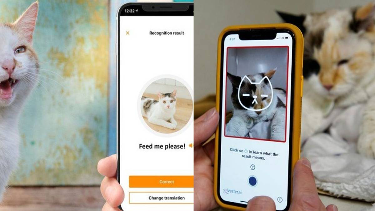 10 Apps Designed To Help Cat Owners