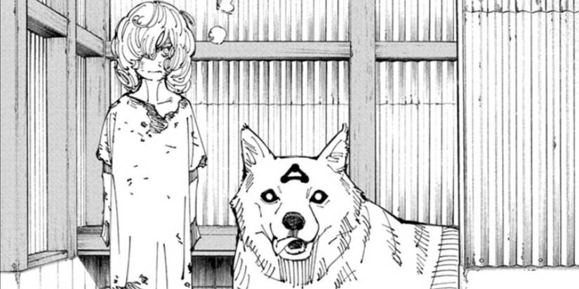 Jujutsu Kaisen-Hana Kurusu and Divine Dog