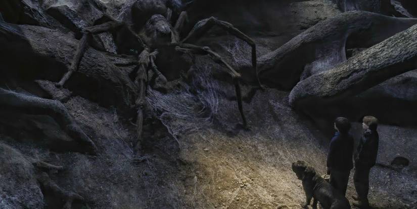 Harry Potter: Why Ron Weasley Is Afraid Of Spiders?