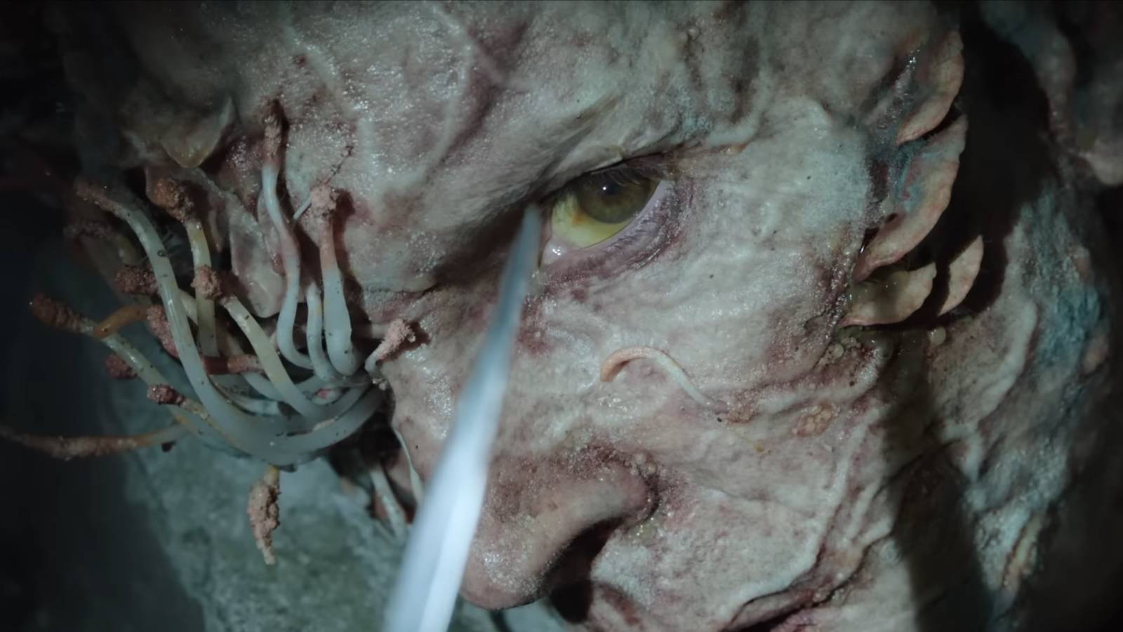 The Last Of Us Episode 2 Shows Teases Ellie & Joel's Clicker Encounter