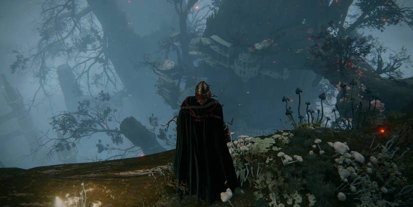 Elden Ring: Shadow Of The Erdtree DLC Can Finally Give Us Miquella Answers