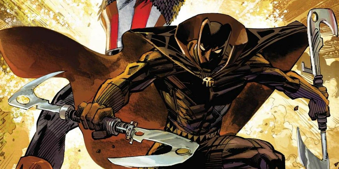 New Black Panther Costume Fills A Gap In Wakanda's Timeline