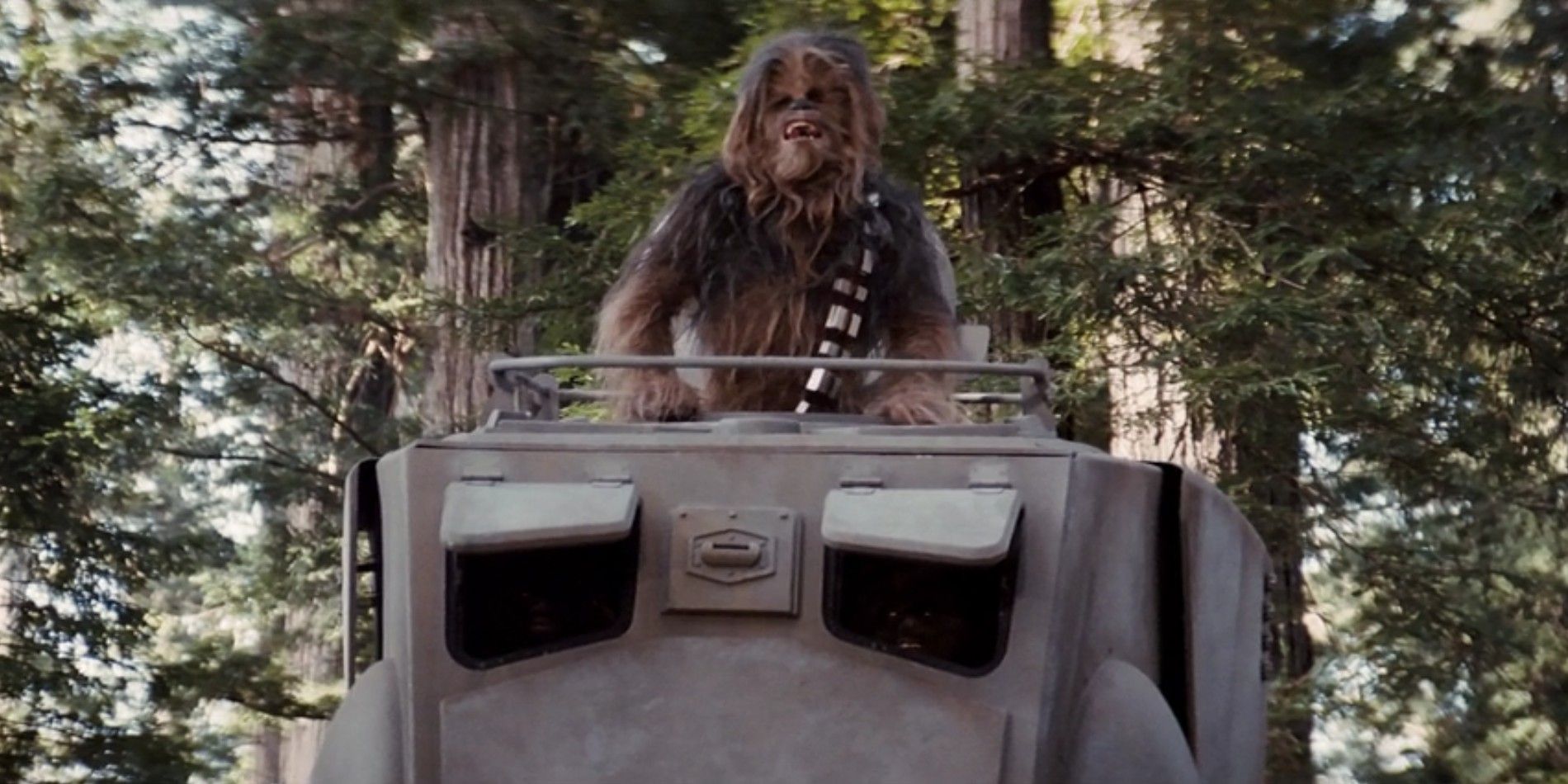 Star Wars: The Real Life Inspirations Behind George Lucas' Ewoks