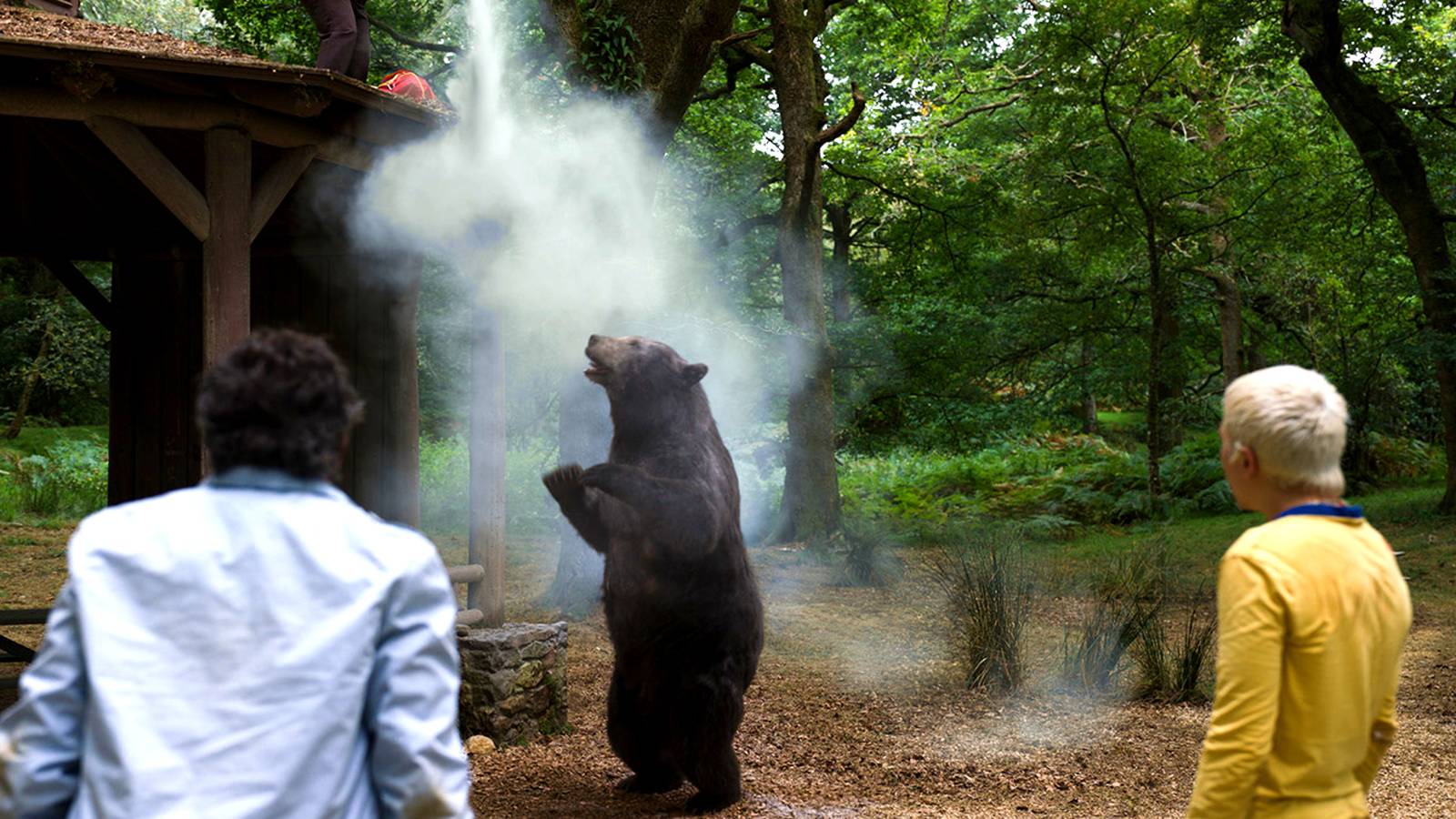 11 Best Cocaine Bear Memes