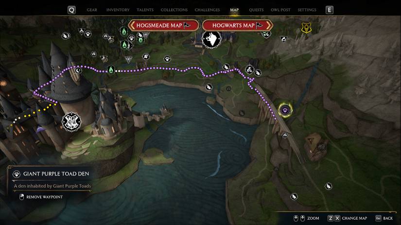 Where to Find (& Catch) Giant Purple Toads in Hogwarts Legacy