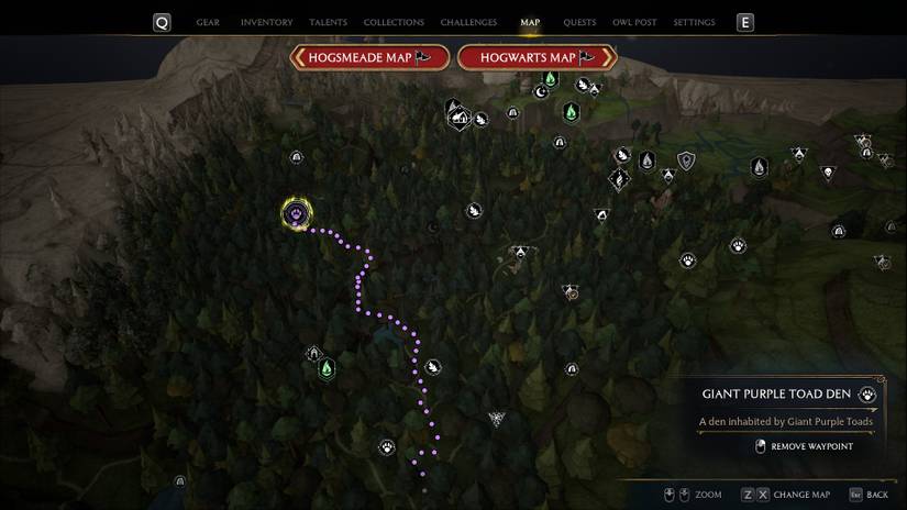 Where to Find (& Catch) Giant Purple Toads in Hogwarts Legacy