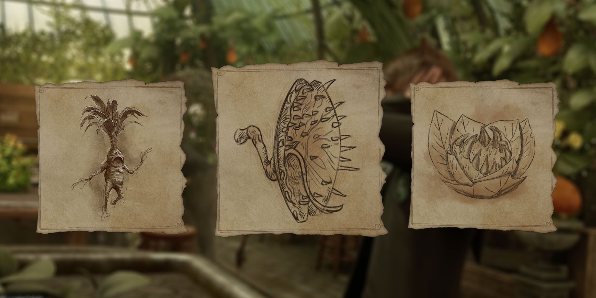 Hogwarts Legacy: Best Potions For Combat