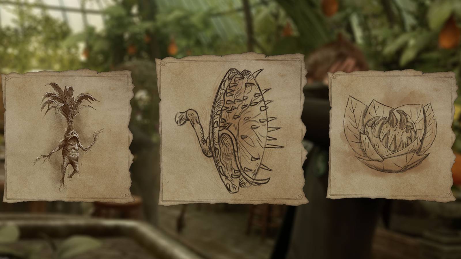 Hogwarts Legacy: Best Combat Plants To Grow First