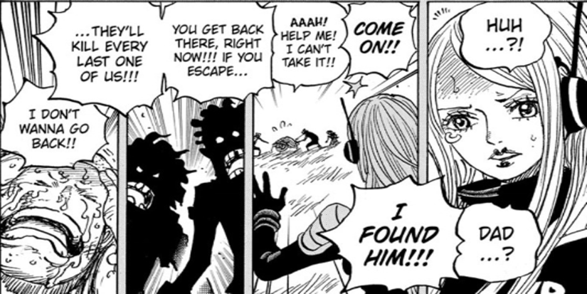 One Piece Teases a Backstory At The Center of Several Big Mysteries