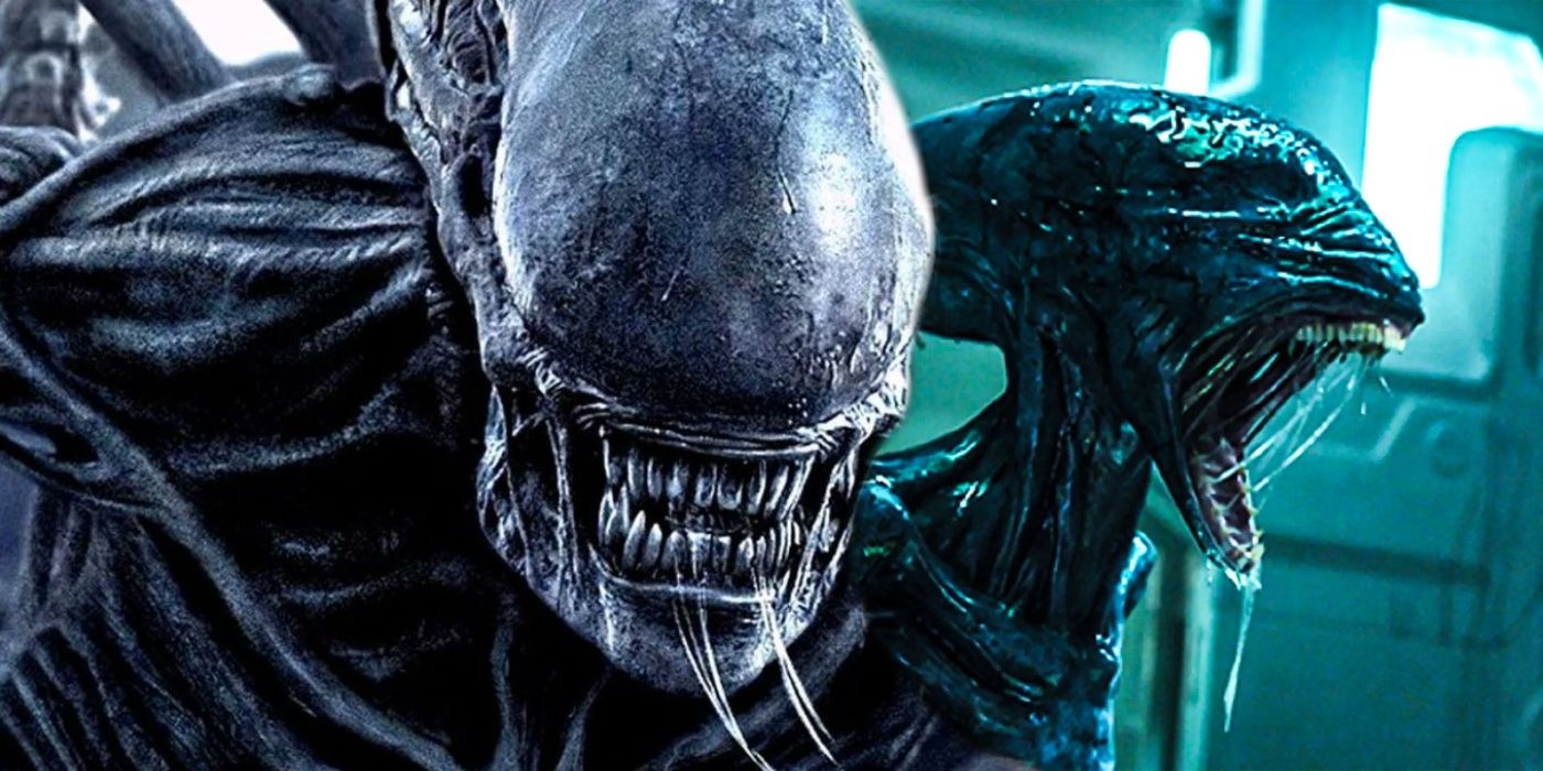 Alien Just Set up a Xenomorph/Predator Hybrid Deadlier Than AvP's