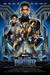 Black Panther Poster