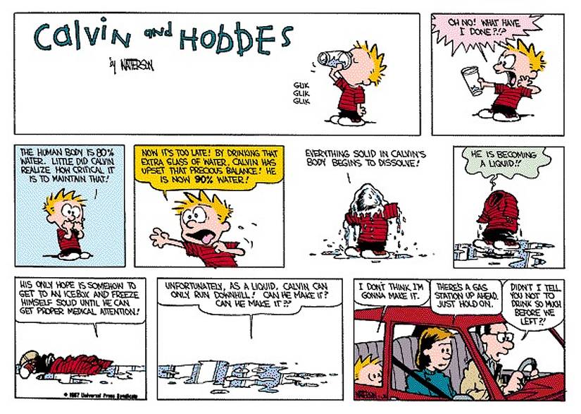10 Calvin And Hobbes Comics That Go Off the Rails In a Hurry