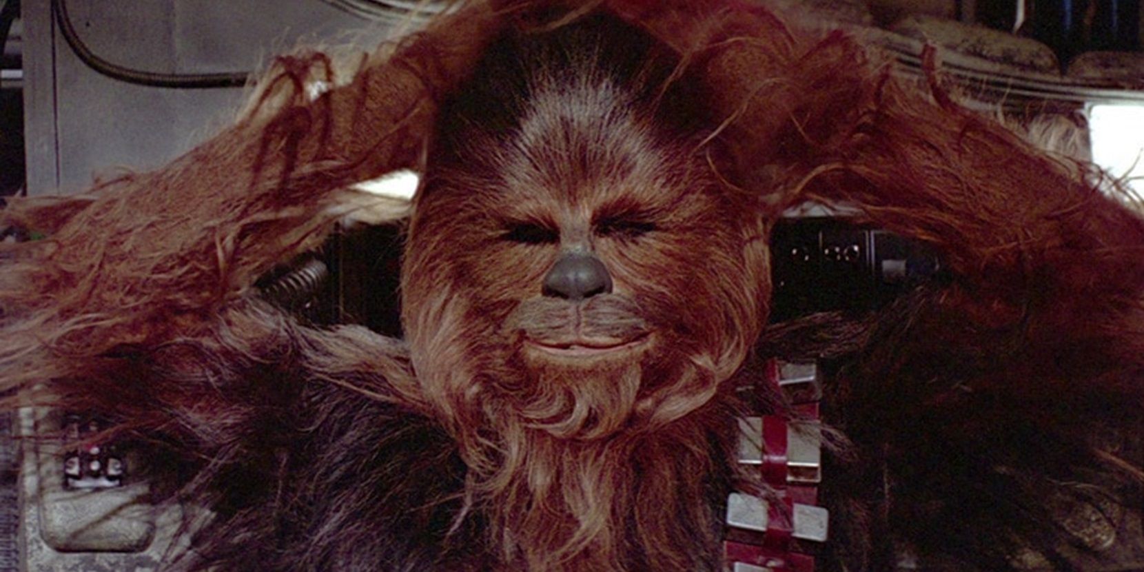 Chewbacca on the Falcon in Star Wars